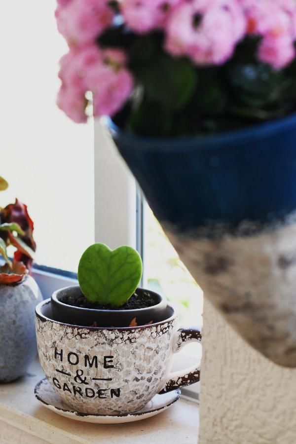 Апартаменты Apartments Topla Херцег-Нови-24