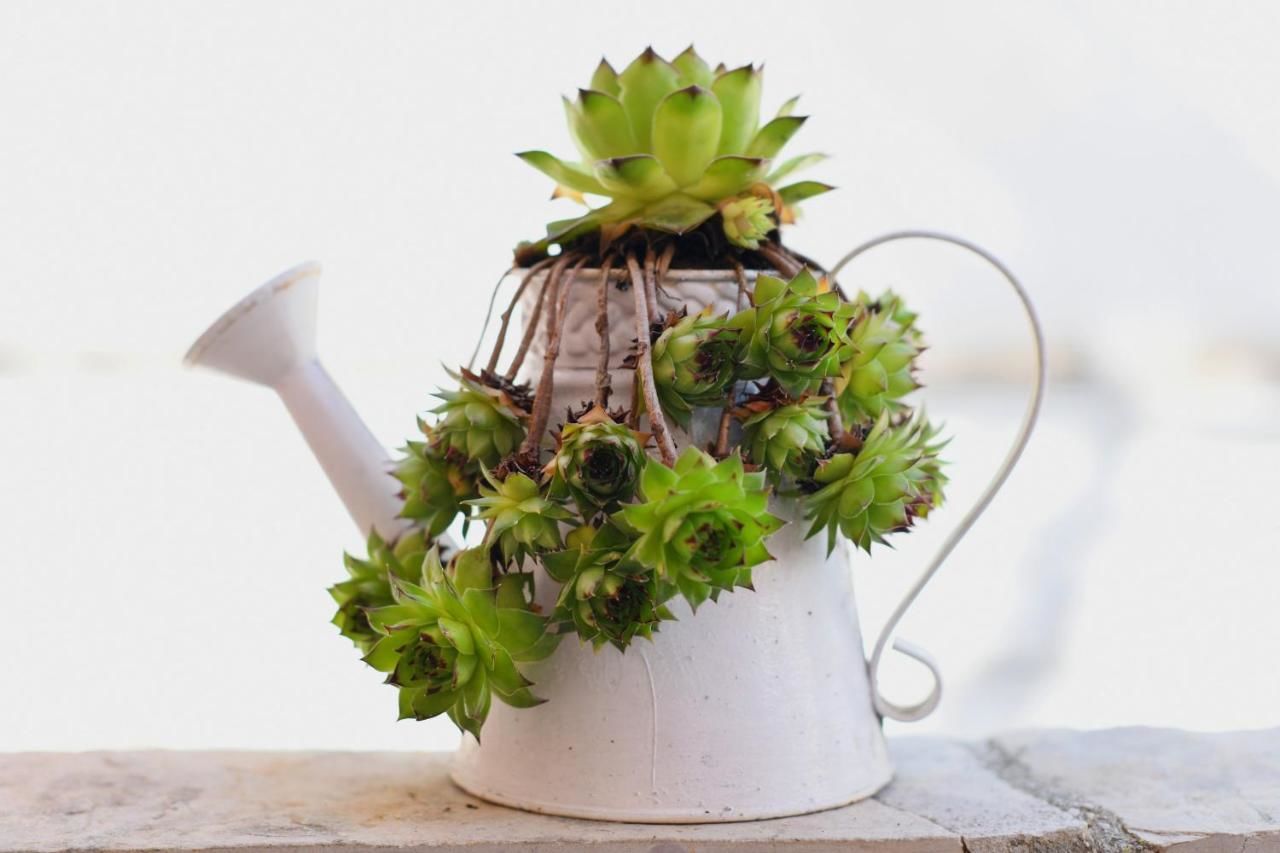 Апартаменты Apartments Topla Херцег-Нови-26