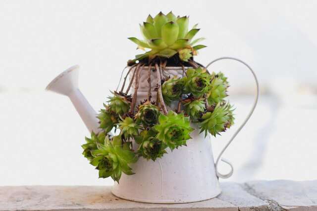 Апартаменты Apartments Topla Херцег-Нови-25